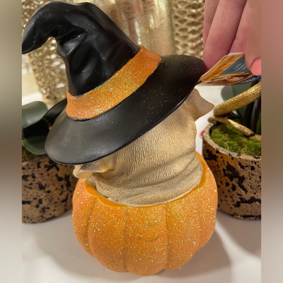 Halloween Puppy Witch Light up Orange Glitter Jack o’Lantern Humane Society NWT - Picture 6 of 7